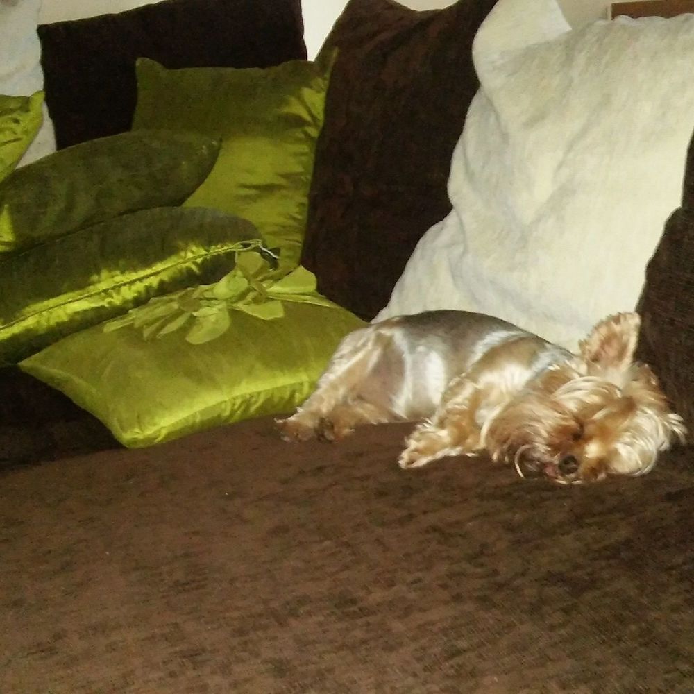 Meet your Posher, Maria